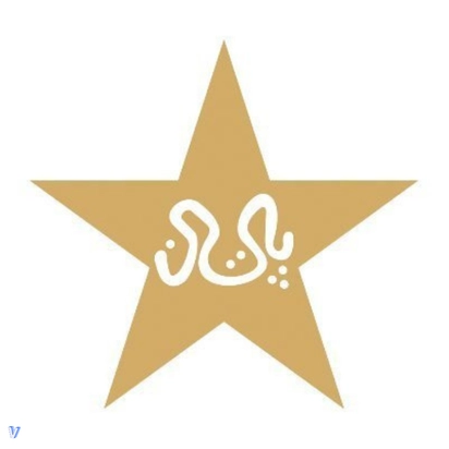 cricket Pakistan img 3